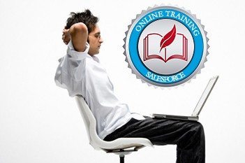 a professional who looks at the laptop with info on Salesforce training.
